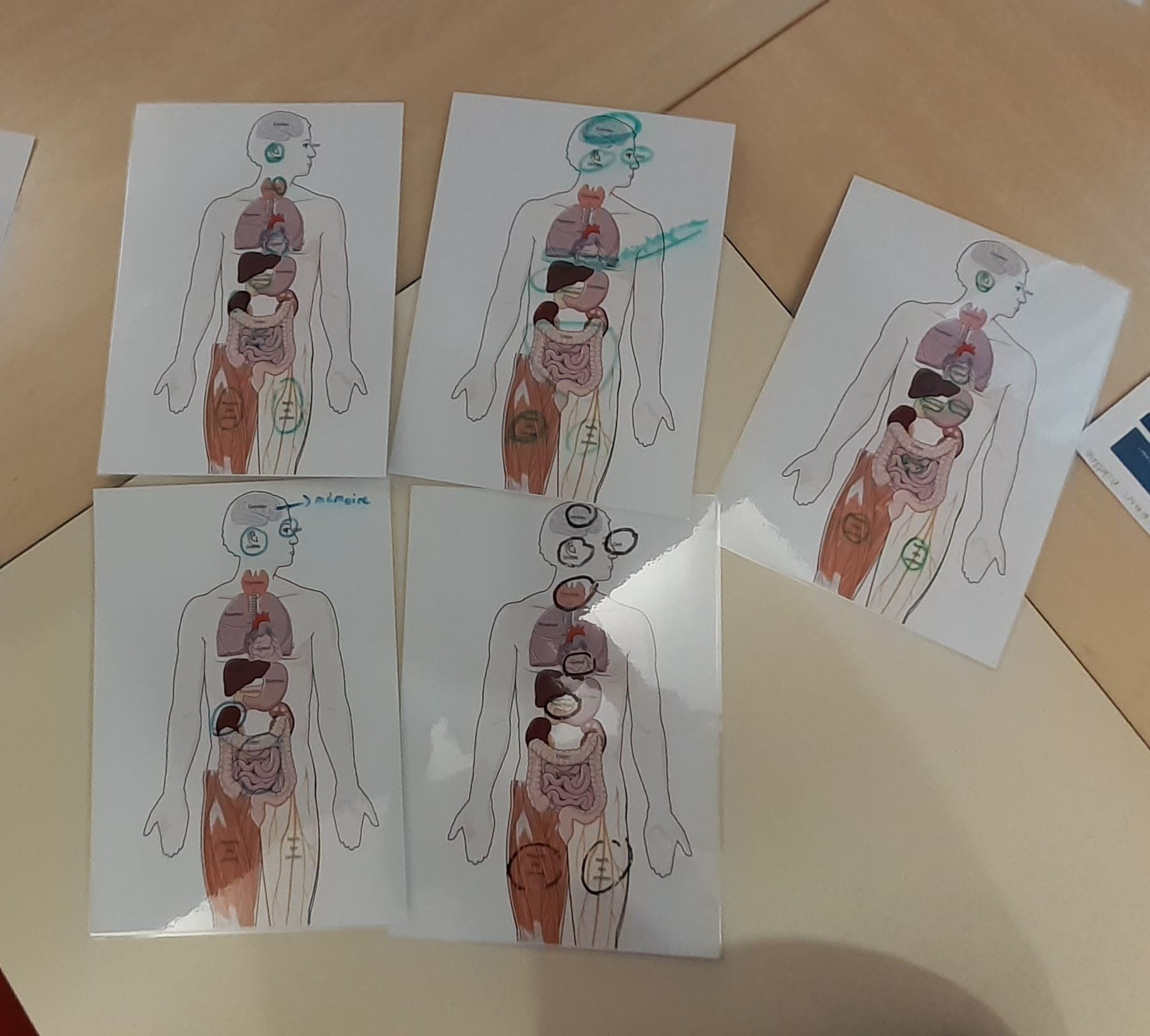 melas2